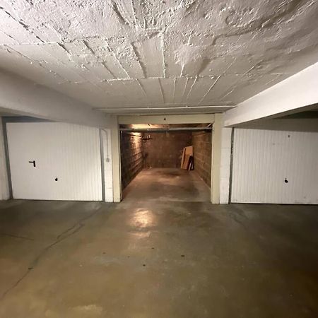 T3 De 73 M2 , Garage , Vue Montagnes Et Chateau 阿讷西 外观 照片